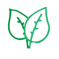 saar-stadtpflege-small-Grundpflege​